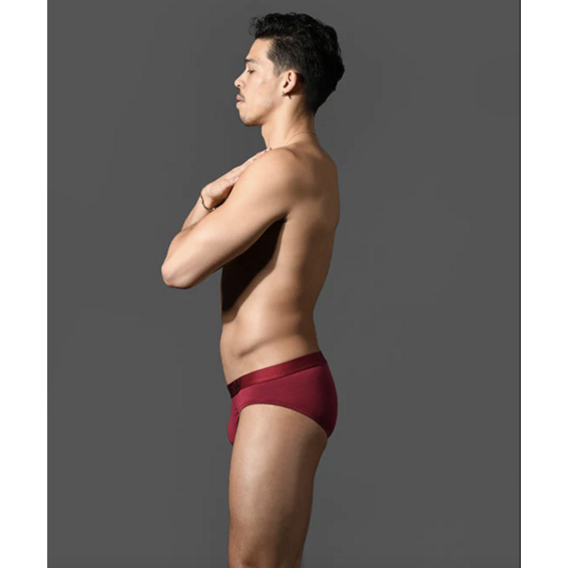 Andrew Christian Bespoke Modal vyri&scaron;kos bordo spalvos kelnaitės