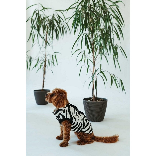 Sofa Killer trispalvis kombinezonas &scaron;uniui Zebra